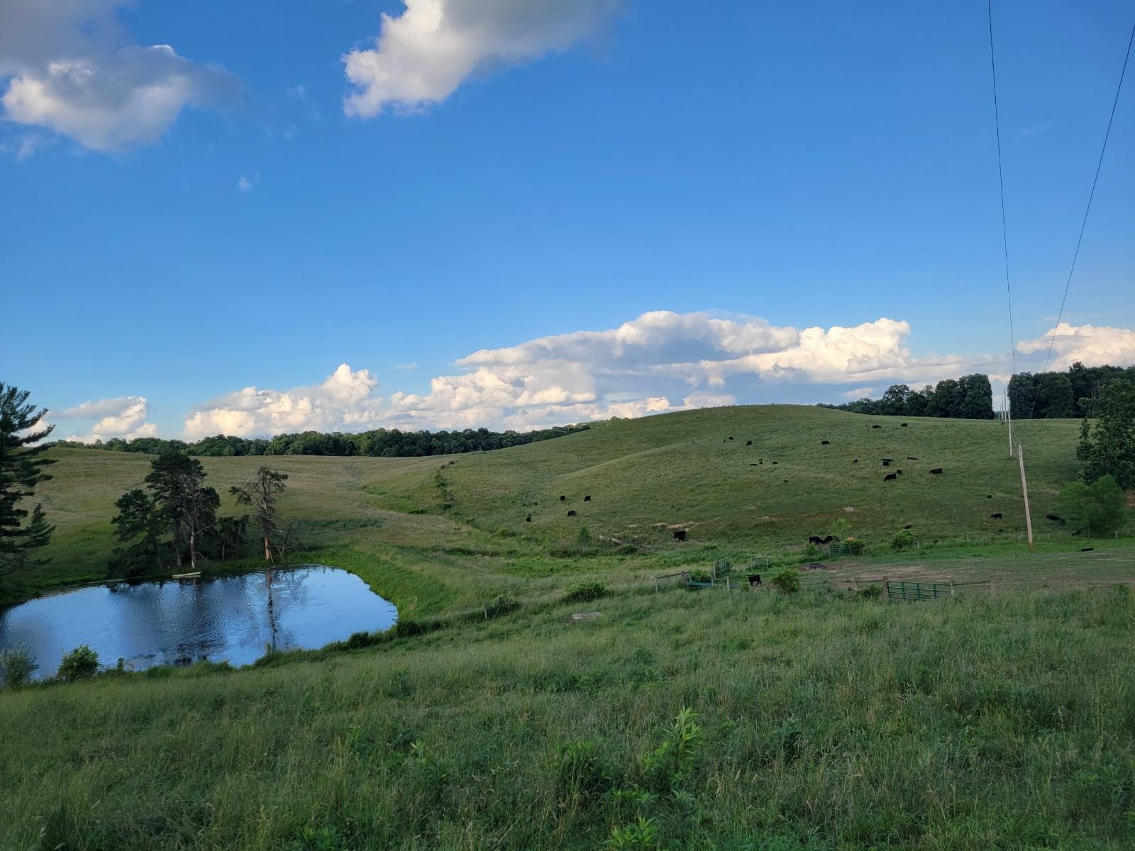 Electrician servicing an electrical outlet. Electrician for panel upgrades, wiring, ceiling fans, outlets, lighting. 