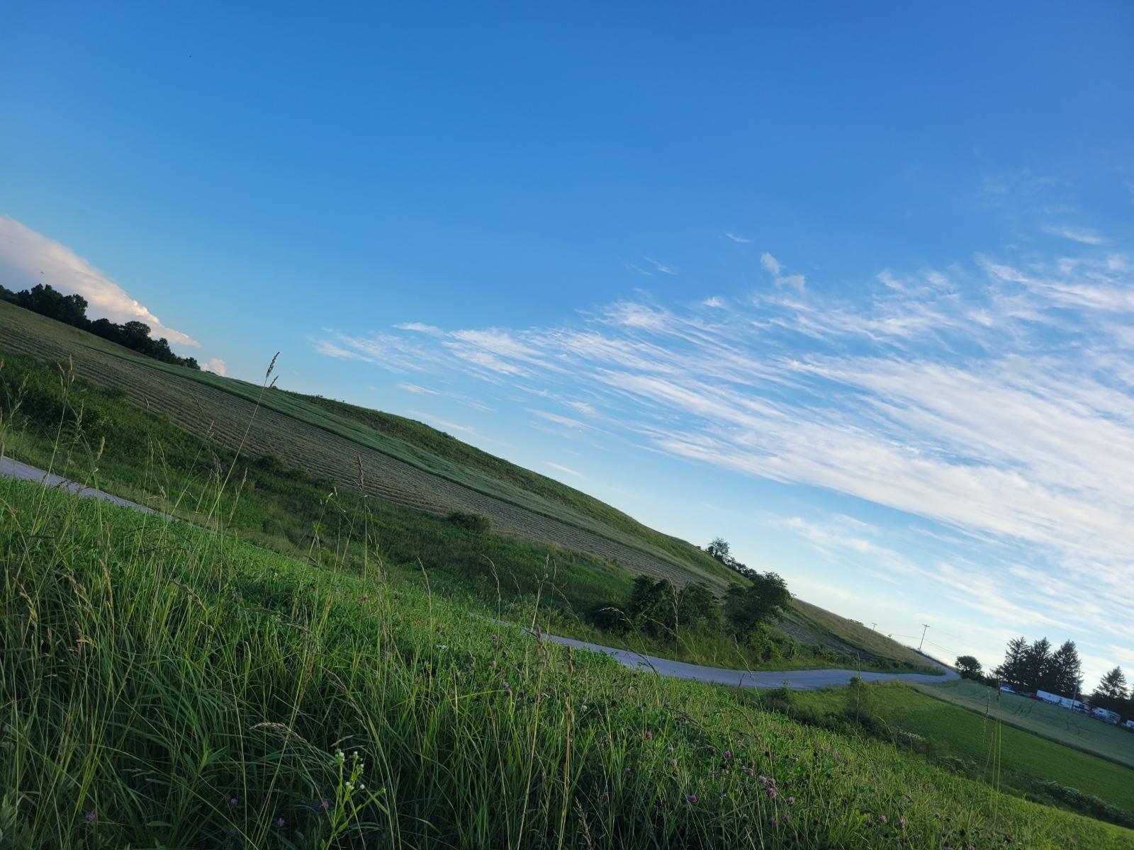 Electrician on the phone. Talk to a real electrician over the phone. Contact Berea Electrical for free.