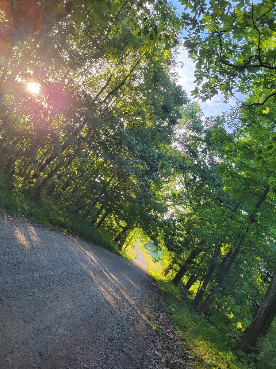 Lightning Strike of home and business. 24/7 Electrical Emergency Service for power outages or other electrical issues.