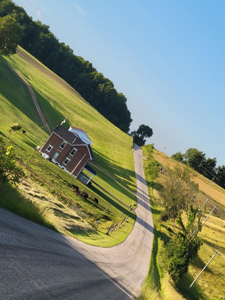 Electrician troublshooting an electrical panel. Talk to a real electrician who can help you figure out your electrical issues. 